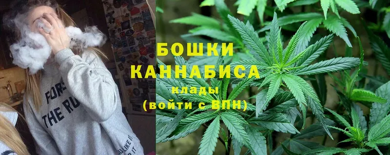 Бошки Шишки THC 21%  kraken   Прохладный 